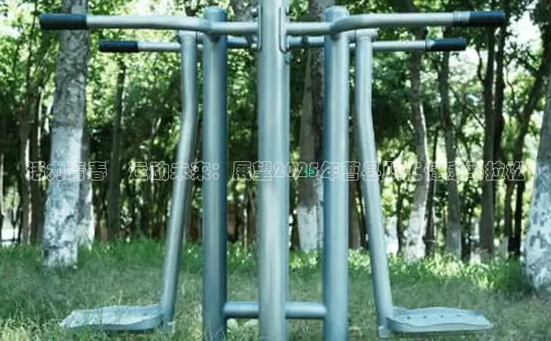 333体育